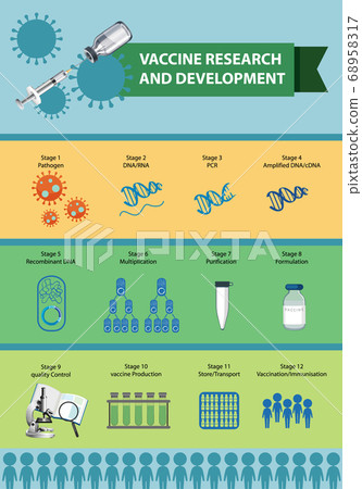 Vaccine research and development infographic - Stock Illustration ...