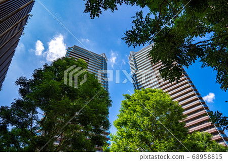 Scenery of Kashiwanoha Campus <Summer 2020> Scenery of Kashiwanoha Campus <Summer 2020> 68958815