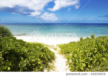 Yoron Island Shinha海灘 68958929