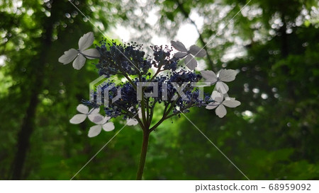 Mountain landscape Mountain landscape 68959092