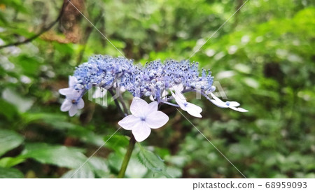 Mountain landscape 68959093