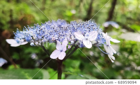 Mountain landscape Mountain landscape 68959094