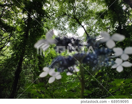 Mountain landscape Mountain landscape 68959095