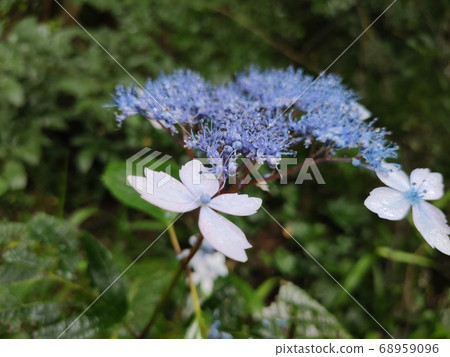 Mountain landscape 68959096