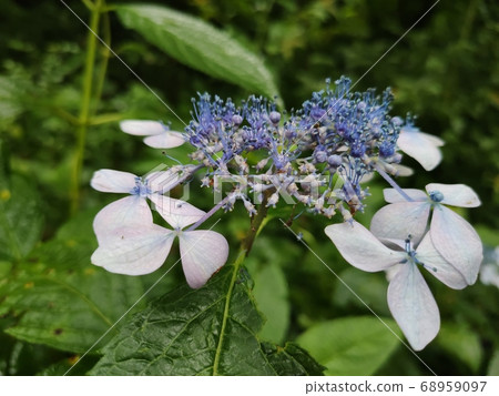 Mountain landscape 68959097