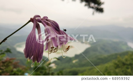 January blubber January blubber 68959392