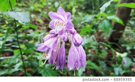 January blubber January blubber 68959393