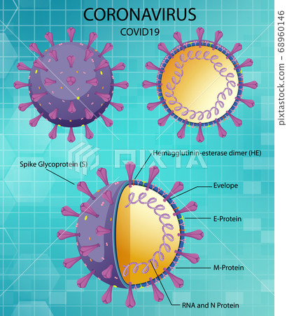 Diagram of Corona virus particle structure Diagram of Corona virus particle structure 68960146