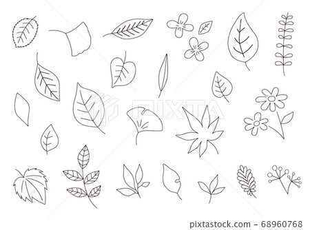Line drawing illustration of various leaves Line drawing illustration of various leaves 68960768