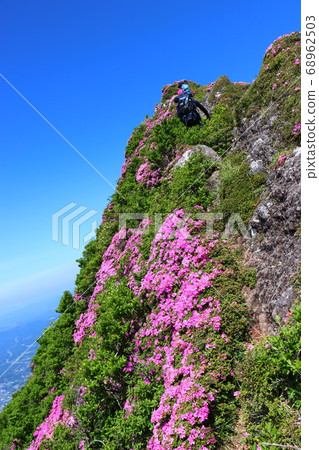 Yufudake where Miyama Kirishima is in full bloom Yufudake where Miyama Kirishima is in full bloom 68962503