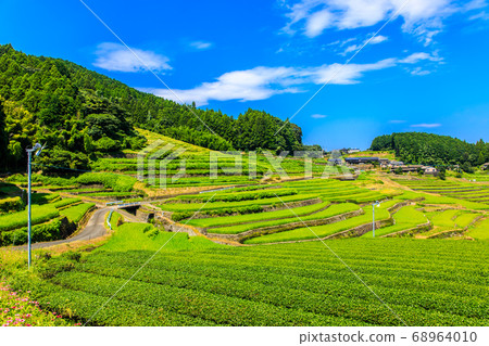 Fresh green oni rice terraces [Hasami Town, Higashisonogi District, Nagasaki Prefecture] 68964010
