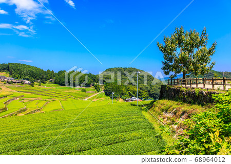 Fresh green oni rice terraces [Hasami Town, Higashisonogi District, Nagasaki Prefecture] 68964012