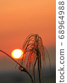 日本蒲葦在夕陽下燃燒 68964988