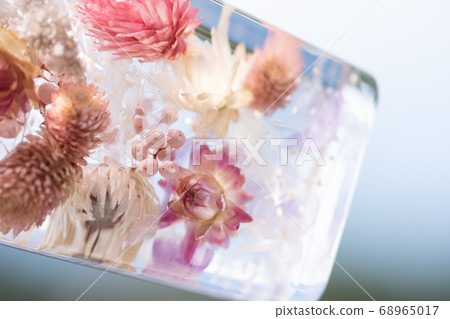 Cute pink herbarium Cute pink herbarium 68965017