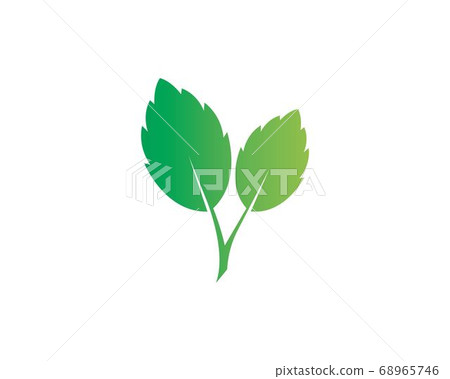 mint leaf illustration vector template 68965746