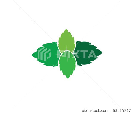 mint leaf illustration vector template mint leaf illustration vector template 68965747