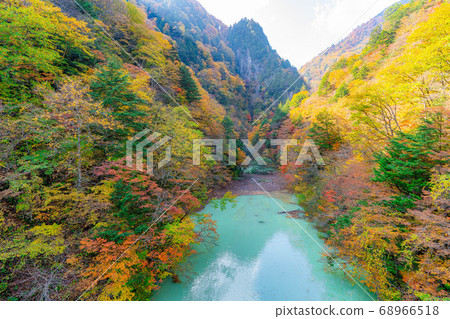 Takase Gorge, Omachi Dam Autumn Leaves [Nagano Prefecture] 68966518