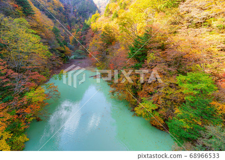 Takase Gorge, Omachi Dam Autumn Leaves [Nagano Prefecture] 68966533