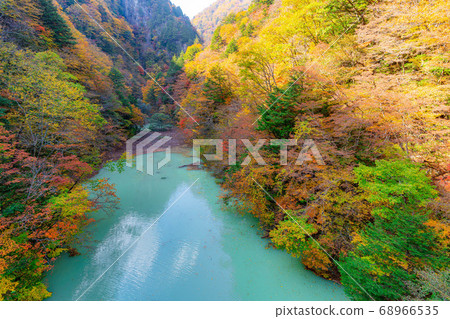 Takase Gorge, Omachi Dam Autumn Leaves [Nagano Prefecture] 68966535