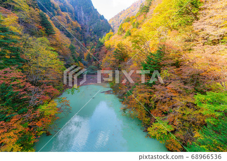 Takase Gorge, Omachi Dam Autumn Leaves [Nagano Prefecture] 68966536