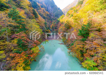 Takase Gorge, Omachi Dam Autumn Leaves [Nagano Prefecture] 68966541