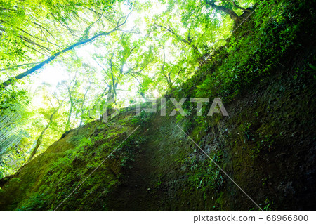 大地的皺紋 68966800