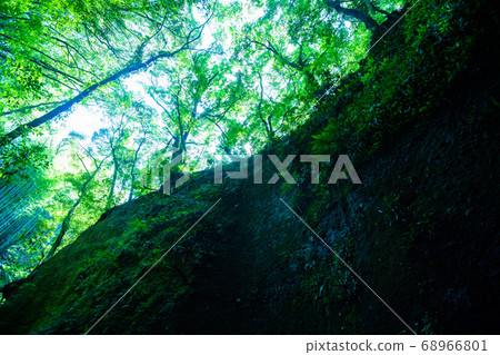 大地的皺紋 68966801