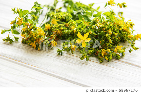 Yellow Saint Johns wort flowers on white wooden 68967170