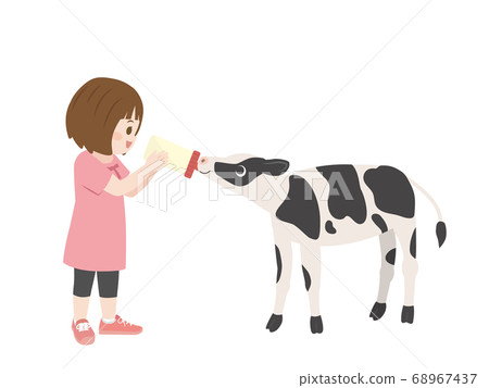 Illustration of a Girl Milking a Calf 68967437