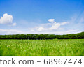  park 68967474