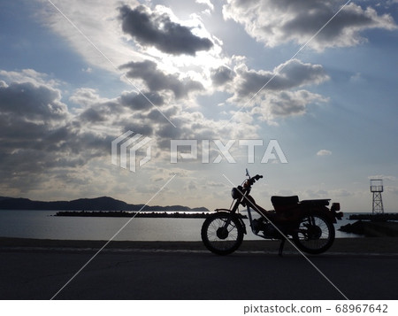 Wakaura arriving in the west with a hunter cub goes to the Katonami beach 68967642