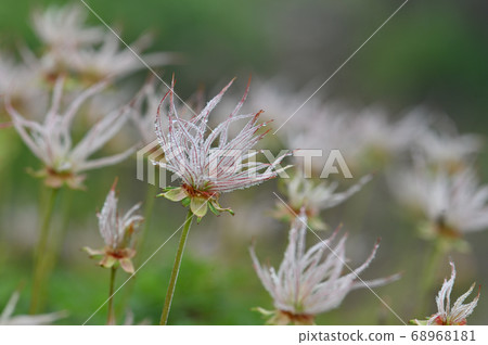 在Hayaike山發現Chingulma的浪費 68968181