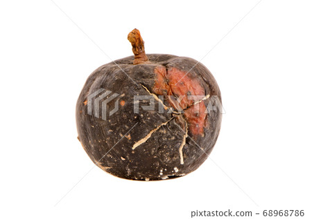 dark rotten apple fruit isolated on white dark rotten apple fruit isolated on white 68968786