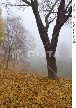 beautiful autumn park landscape with leaves and beautiful autumn park landscape with leaves and 68968787