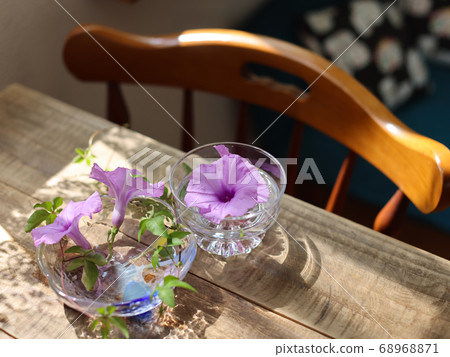 Table with morning glory 68968871