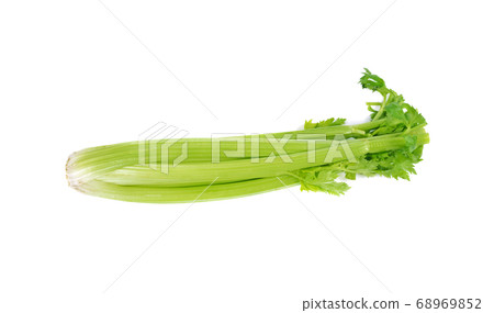 Celery isolated on white background 68969852