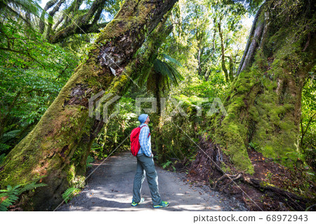 Tramping Tramping 68972943