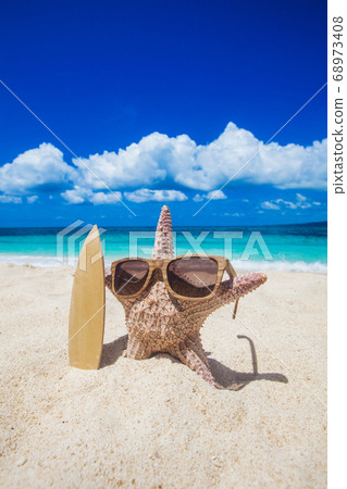 Starfish surfer on beach Starfish surfer on beach 68973408