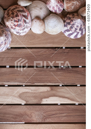 Seashells on wooden background 68973409