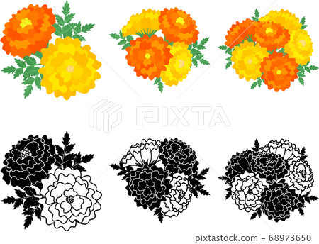 Marigold cute icon Marigold cute icon 68973650