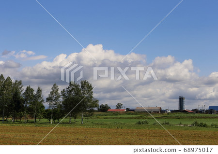 北海道十勝地區的農場風景 68975017