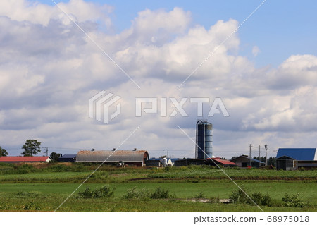 Scenery with farms in the Tokachi region of Hokkaido 68975018