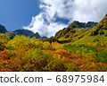 Lively foliage 68975984