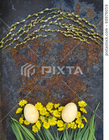 Easter Eggs, flower of  coltsfoot and branch with  68976059