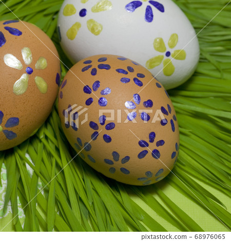 Painted Colorful Easter Eggs on green Grass Painted Colorful Easter Eggs on green Grass 68976065