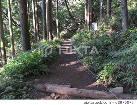 Okura Ridge Trail 68976075
