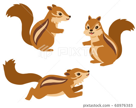 Chipmunk illustration set 68976383