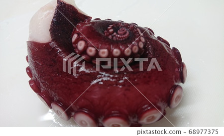 Shiny and clean octopus legs Shiny and clean octopus legs 68977375