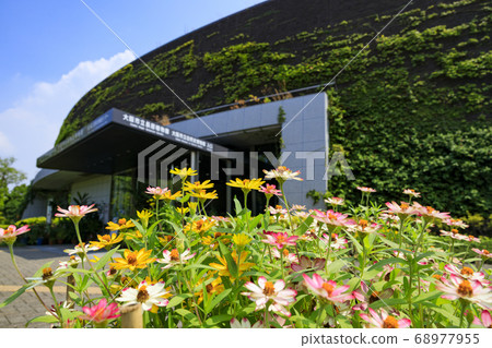 Nagai Botanical Garden Summer Flowers 68977955