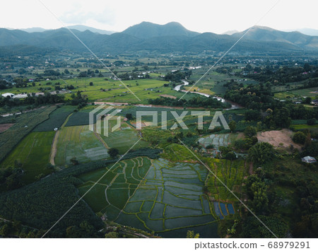 Views of rice fields, rice fields and mountains Views of rice fields, rice fields and mountains 68979291
